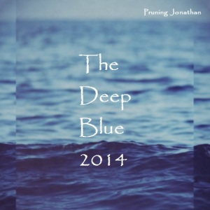 Deep Blue 2014 cover